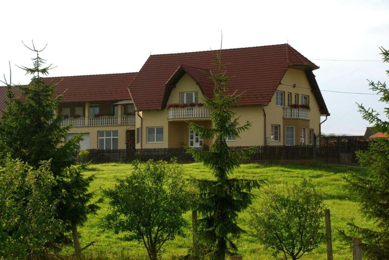 Margareta Vendeghaz Hotel Lupeni  Bagian luar foto