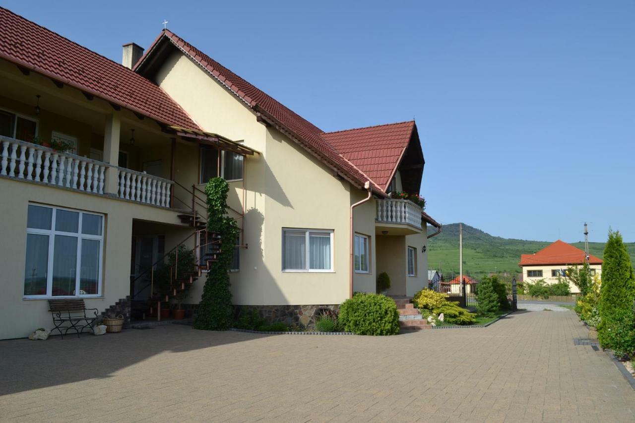 Margareta Vendeghaz Hotel Lupeni  Bagian luar foto